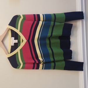 Jones Wear, Navy, Yellow, Green, Turquoise, Fuchsia Striped Sweater, Size Large